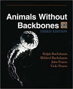 Animals without Backbones