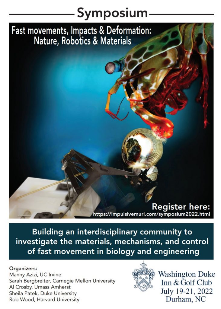Symposium flyer: Fast Movements, Impacts and Deformation: Nature, Robotics and Materials