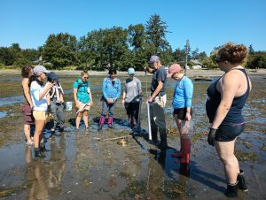 Gustav Paulay demonstrates the use of a yabby pump to students in the Biodiversity and Integrative Taxonomy course at Friday Harbor Labs. Photo credit: Leslie Harris
