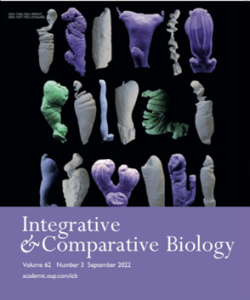 Cover of ICB journal