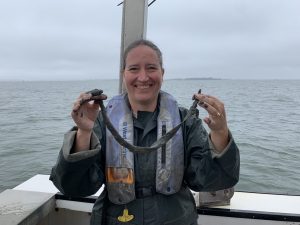 Happy invertebrate zoologist, Kelly Dorgan, holding a Chaetopterus tube collected from the Chesapeake Bay. Photo Credit: Paul Richardson