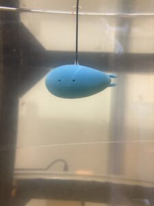 3D-printed <i>Tetraclita japonica</i> model in the tow tank