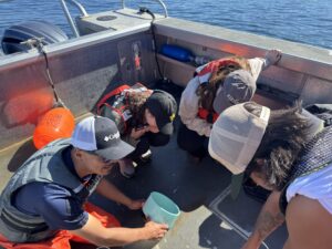 Members of the Chan Lab observing plankton tow samples