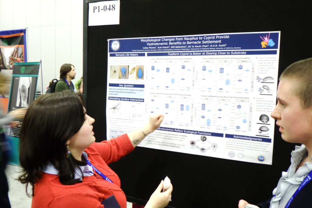 Cailey Plainte presenting at SICB 2026
