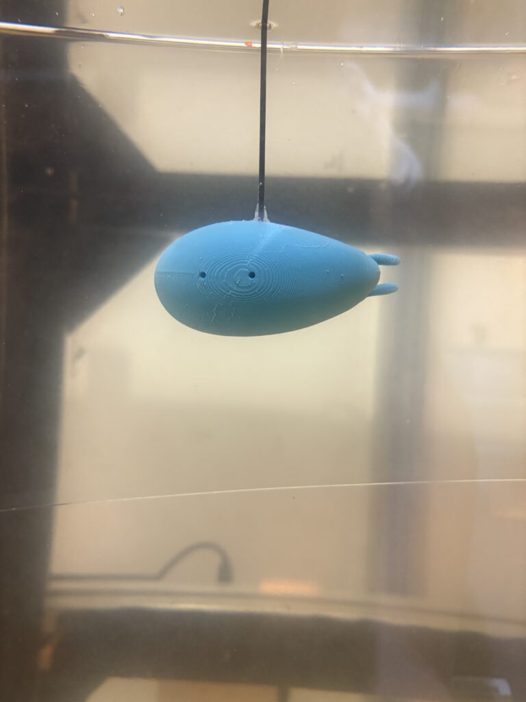 3D-printed Tetraclita japonica model in the tow tank