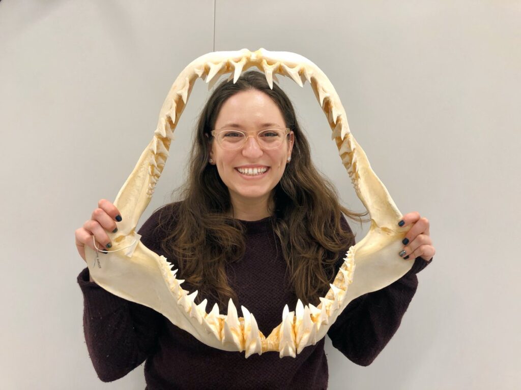 Karly Cohen, Secretary